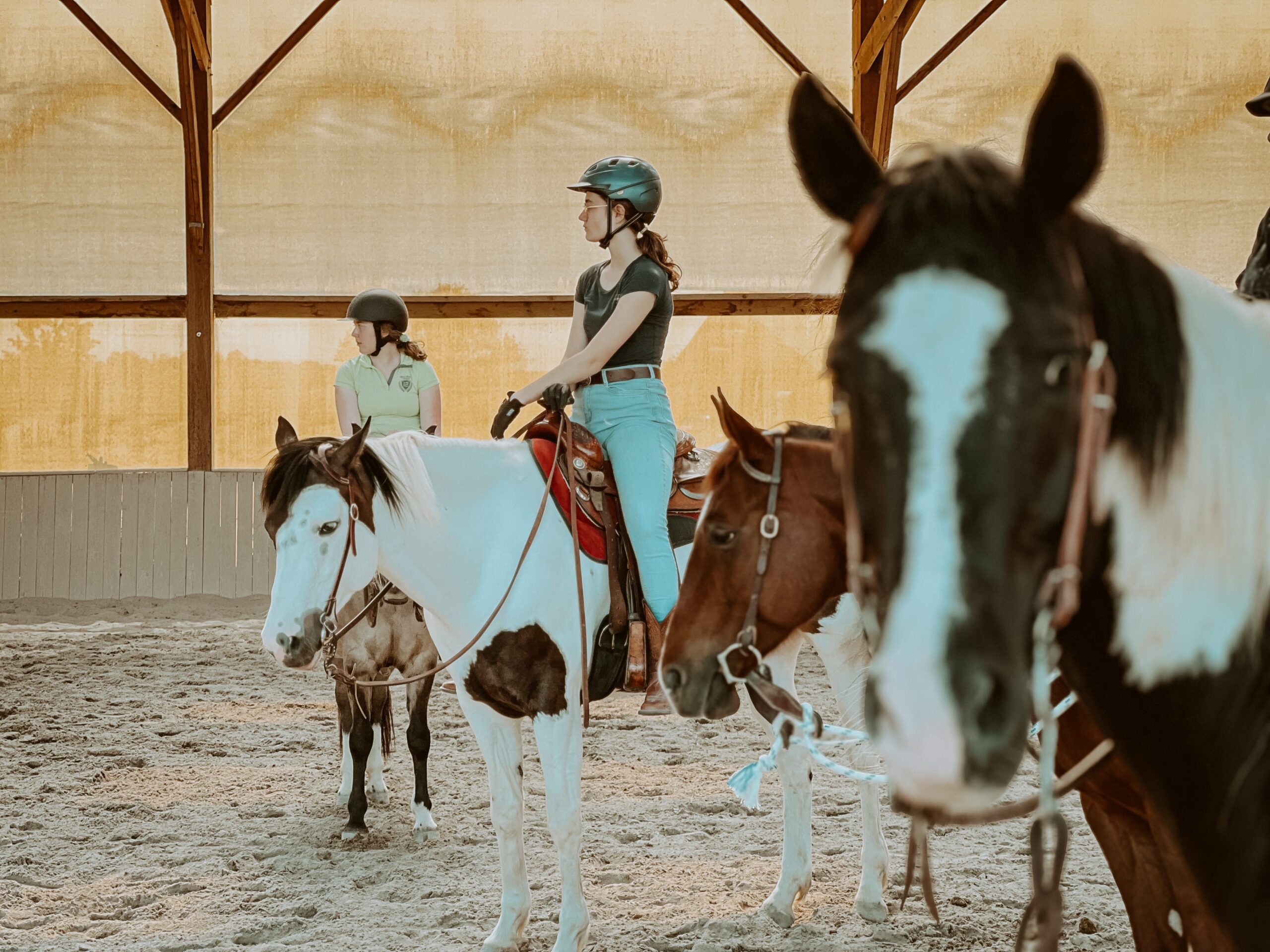 Stage équitation western et séjour western en France et en Amériques -  Caval&go